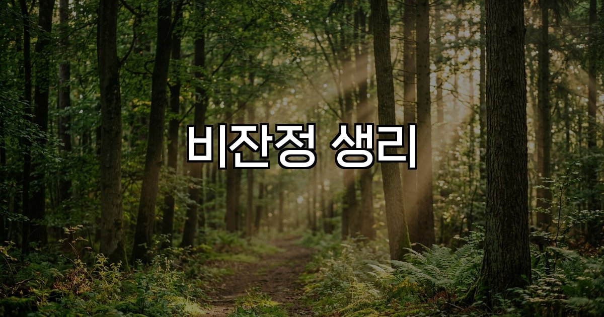 비잔정 생리 효과 부작용