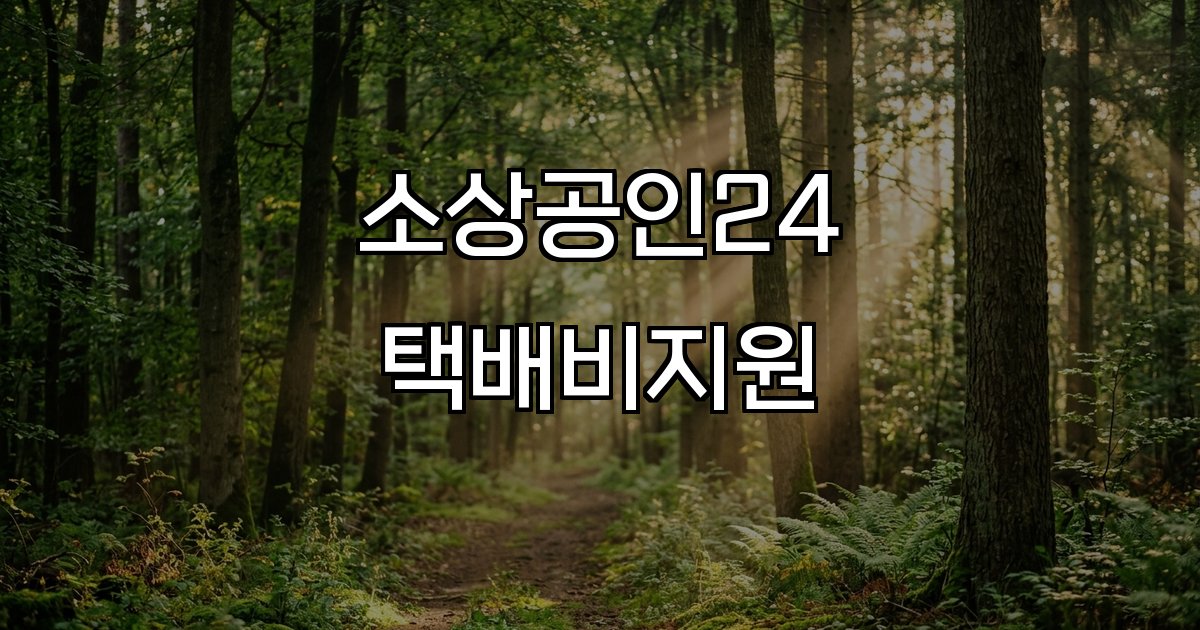 소상공인24 택배비지원 배달 택배 비용 지원
