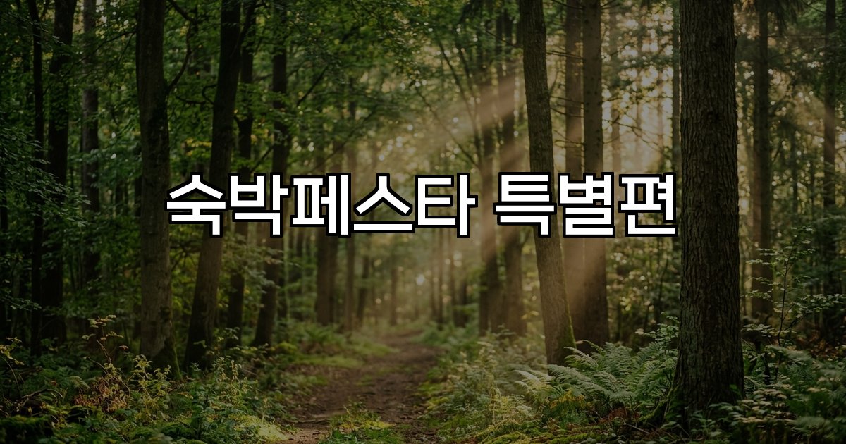 숙박페스타 특별편 할인 지역 재난지역 혜택