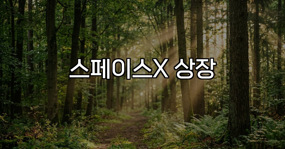 스페이스X 상장 기업가치 우주 산업 투자
