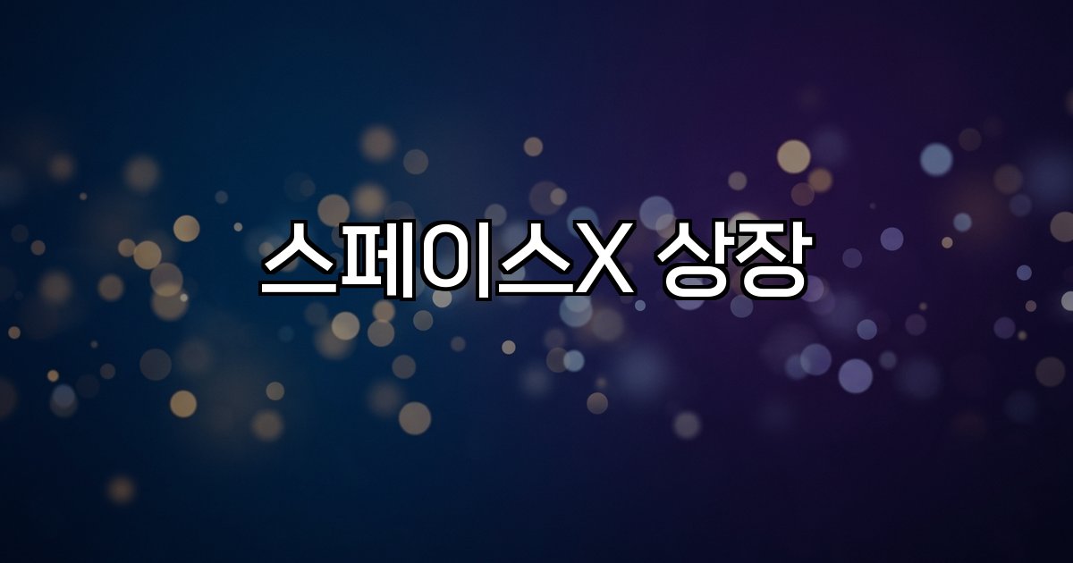스페이스X 상장 IPO 기업가치 금융시장