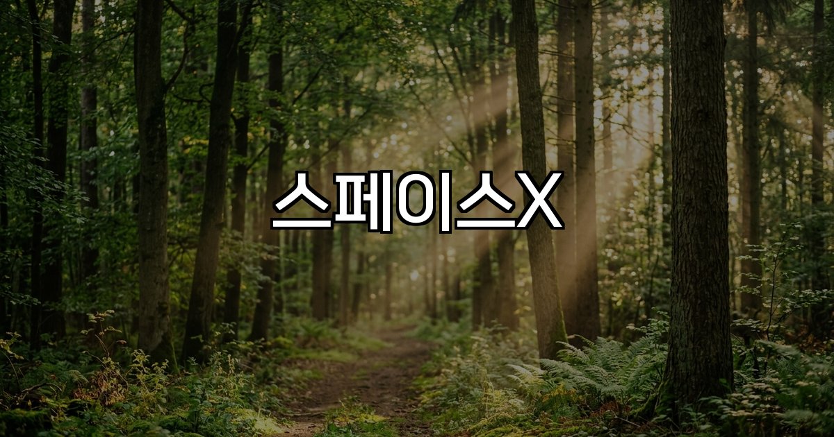 스페이스X 우주 기술 재사용 로켓 투자시장
