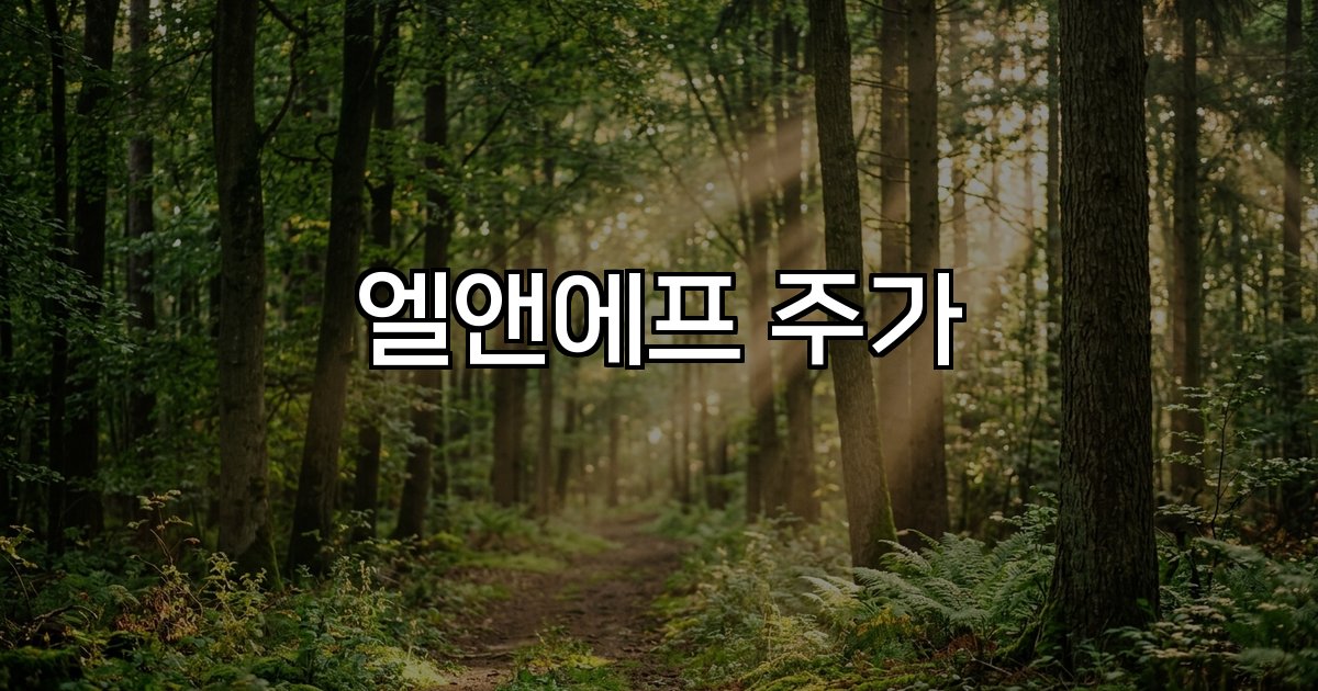 엘앤에프 주가 실적 전망 성장 전략
