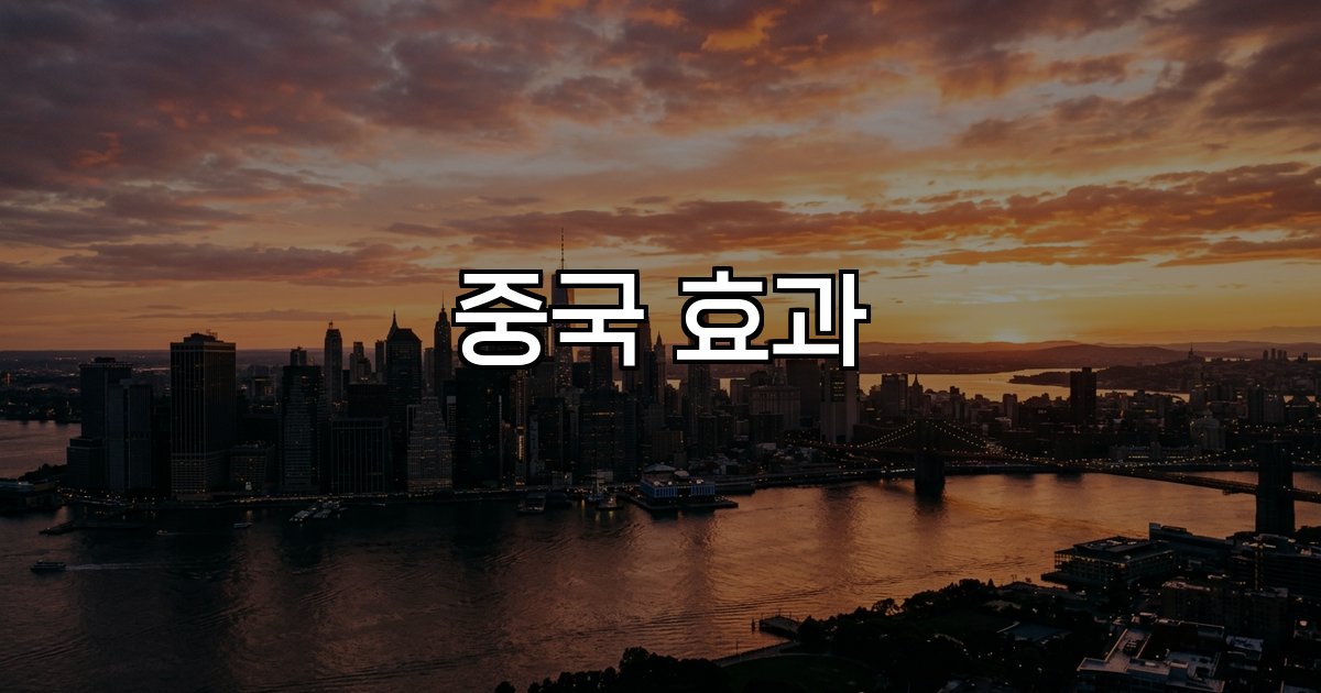 중국 효과  경제 성장 구조 변화 글로벌 수요 영향