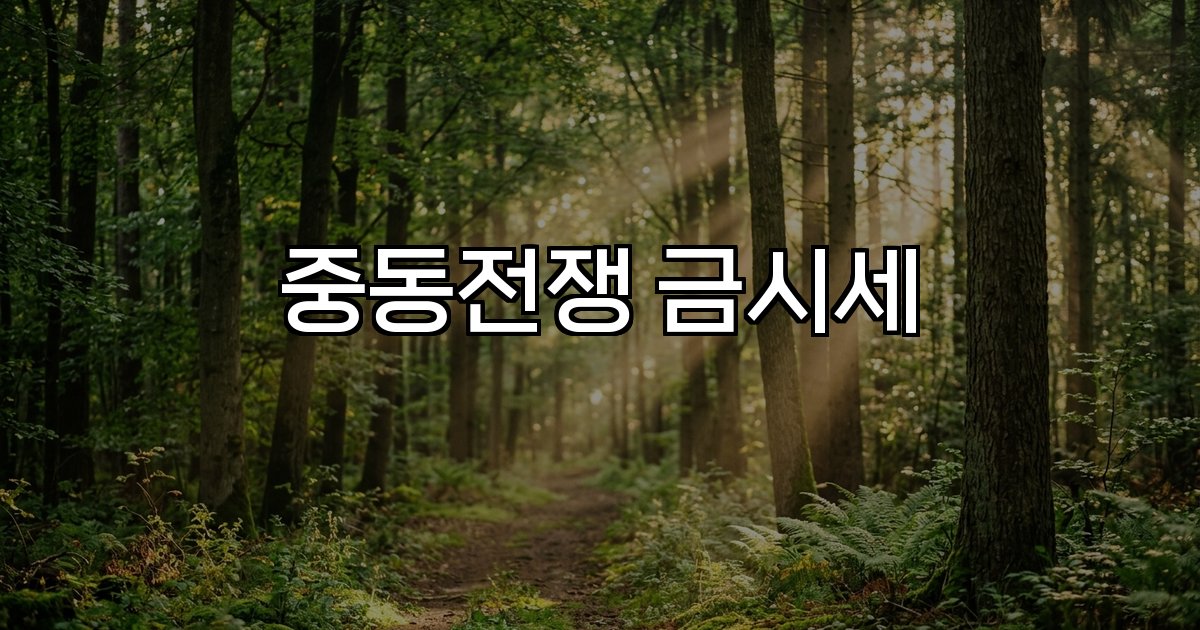 중동전쟁 금시세 원달러환율 긴장 지정학적위험