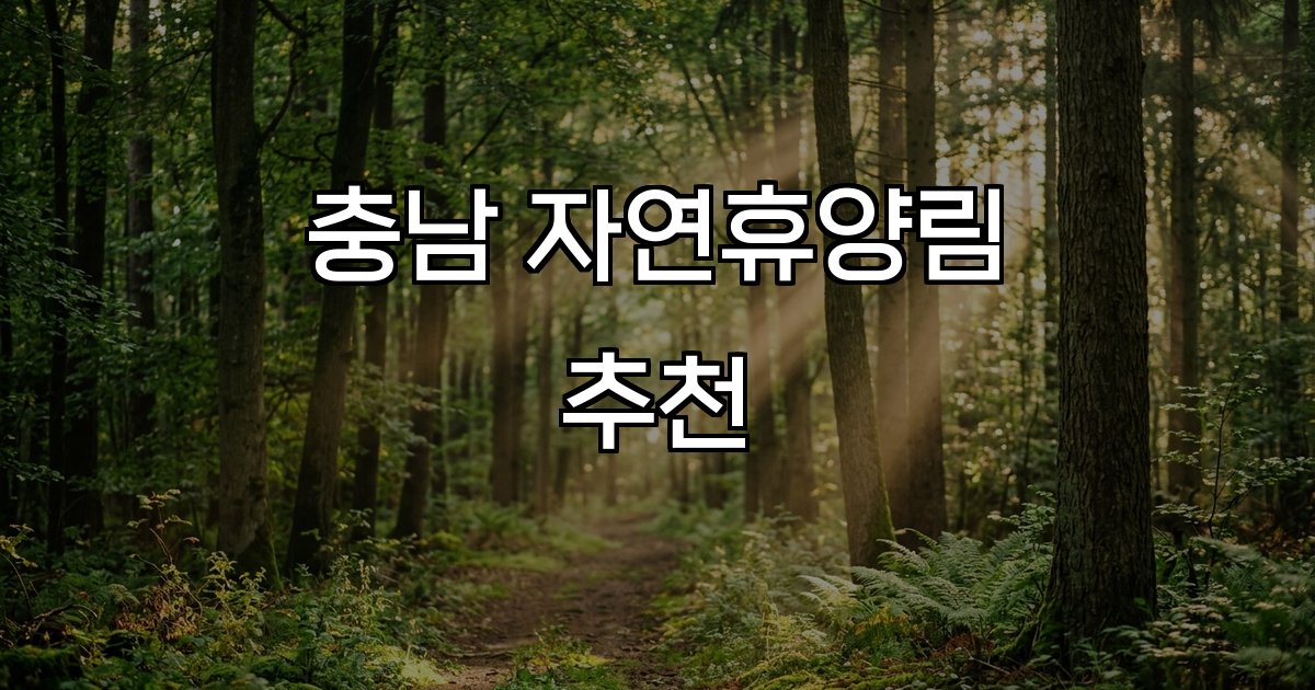 충남 자연휴양림 추천  오서산자연휴양림 산림계곡 자연체험