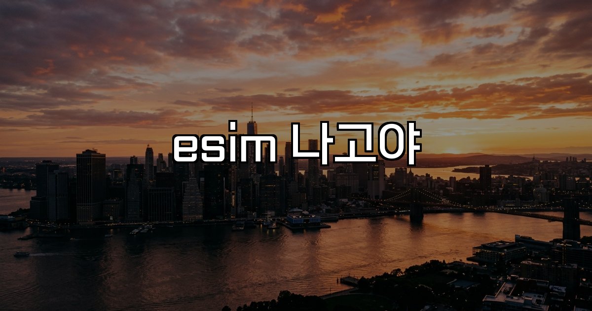 esim 나고야 통신 혜택 할인