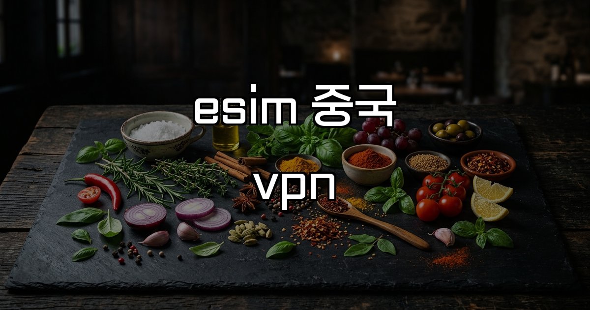 esim 중국 vpn 기기 호환 로밍 요금