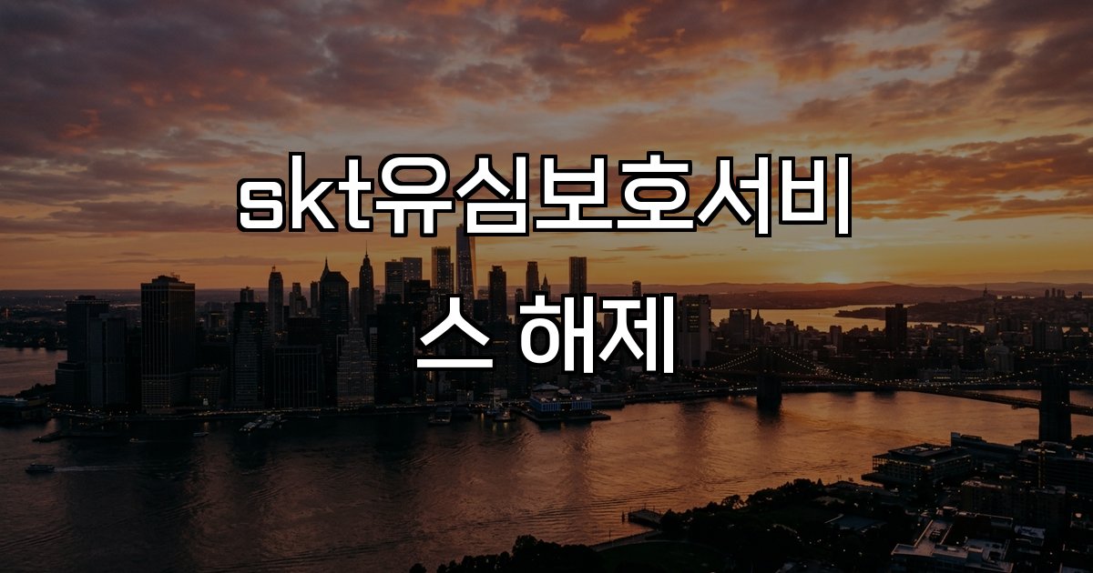 skt유심보호서비스 해제 방법 절차 필요성 보안 기기 변경 해외 로밍